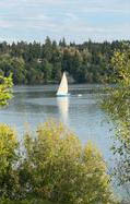 Boat on a lake